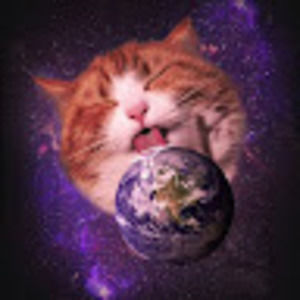 Meet your Posher, Abigail